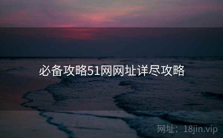 必备攻略51网网址详尽攻略