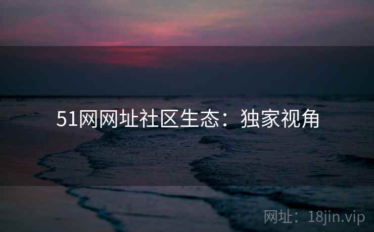 51网网址社区生态：独家视角