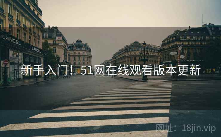 新手入门！51网在线观看版本更新