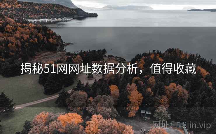揭秘51网网址数据分析，值得收藏