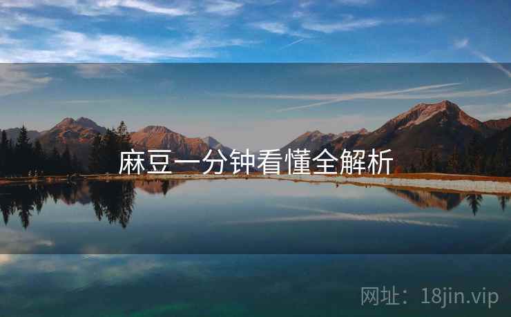 麻豆一分钟看懂全解析